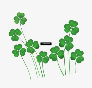 Saint Patrick's Day - Shamrock Png