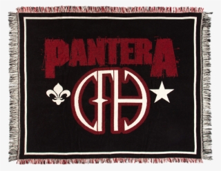 pantera skull logo