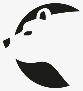 Bear Cleaning Services - United States Of America