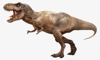 Tyrannosaurus Rex PNG - Baby Tyrannosaurus Rex, Cute Tyrannosaurus Rex. -  CleanPNG / KissPNG