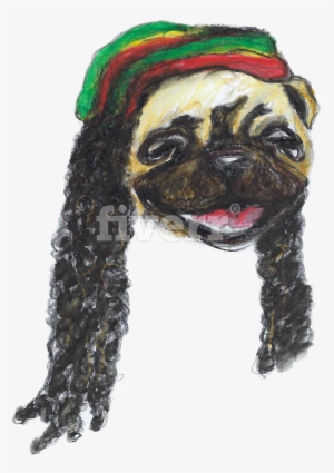 Pug