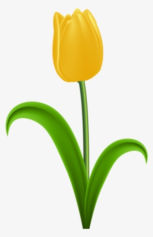 Yellow Tulip Transparent Png Clip Art - Yellow Tulip Clipart