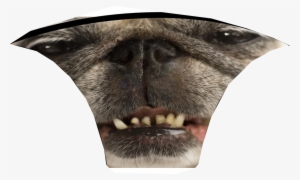 Pugface - Pug Dog Looks Stoned Journal