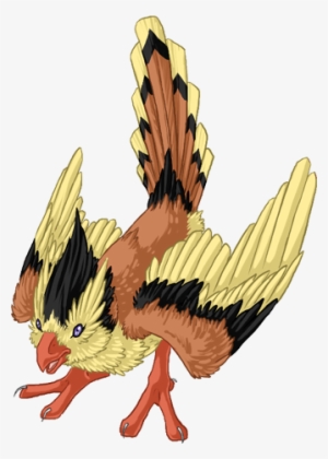 Mmppidgey - Domesticated Turkey