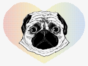 Patrycjaruman Pugface - Pug