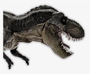 All Hail The King - Velociraptor