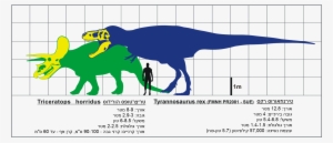 T Rex Ve Triceratops Svg Hebrew - Rex Dinosaur Taxonomy