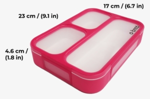 Lightweight And Sleek - O Bnto