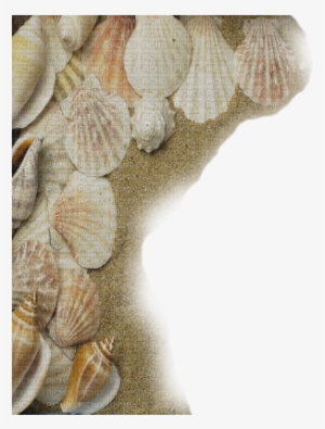 Cadre Frame - Beach