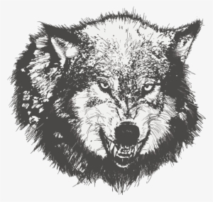 Dog Drawing Black Wolf Sketch Painted Transprent - Wolf Angry Face Vector