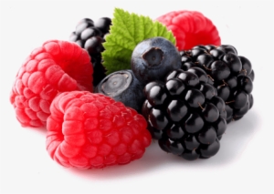 Free Png Berries Png Images Transparent - Berries Png
