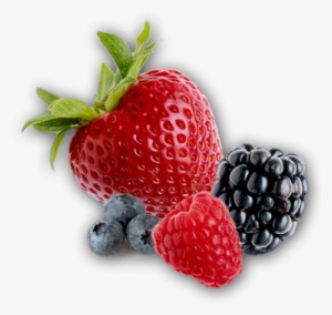 Free Png Berries Png Images Transparent - Berries Png Transparent