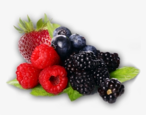 Berries Png Clipart - Berries Clipart Transparent