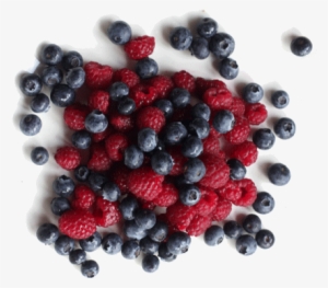 The Magoebaskloof Berry Festival 2017 Will Be Held - Bilberry