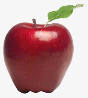 Physical Education & Dance And Movement - Advantages Of Raw Food