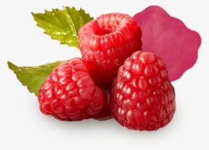 Red Berry Png Graphic Library Stock - Png Berry