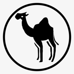 Emeraude Toubia Hot Photos Nude Of The Week - Wordpress