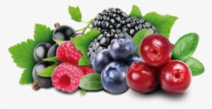Available In 120ml Cups - Natural Black Currant Flavoring 128 Oz