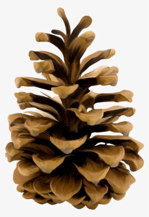 Download - Pinecone Png