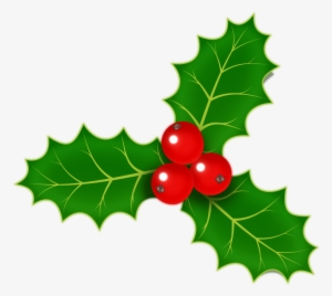 Holly Berries Png - Small Holly Clip Art