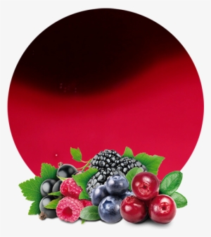 Thus, We Obtain A High Quality Wild Berries Concentrate