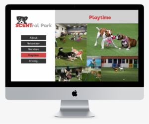 And Human Friends Alike