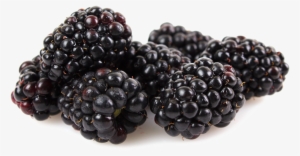 Kotata Blackberries - Black Pepper Free Png