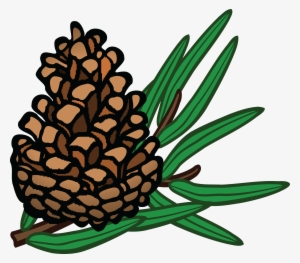 , , - Pinecone Clipart