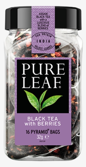 Black Tea With Berries - Pure Leaf Pyramid Tea 16