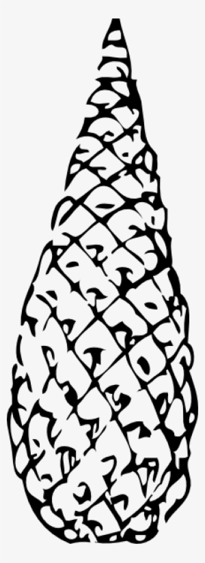 Pine Clipart Cone - رسم الصنوبر