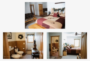 Pine Cone 3 Pics - Second Wind Country Inn