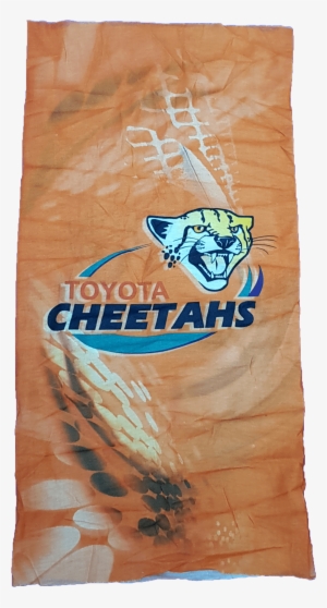 Ladies Cheetahs Supporter Pack Promotion - Board Short