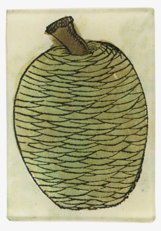 Pinecone Png