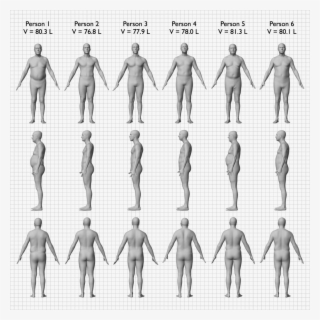 Summer Of Science - Different Bmi Looks Like