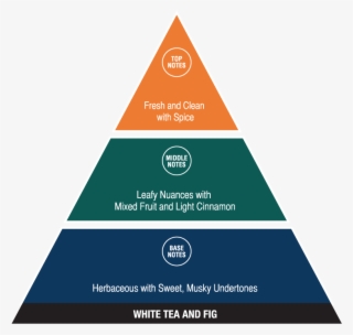 White Tea And Fig - Social Structure Of The Usa