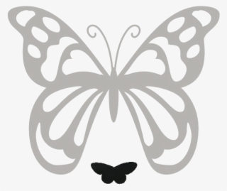 Small - Illustration