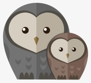Owls - Owl