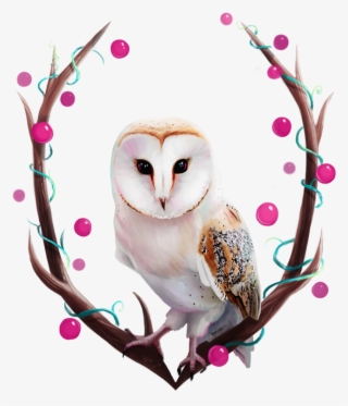 'owl' By Tanya Bosyk Owl Paper, Owl Eyes, Owl Paintings, - Happy Birthday Barn Owl