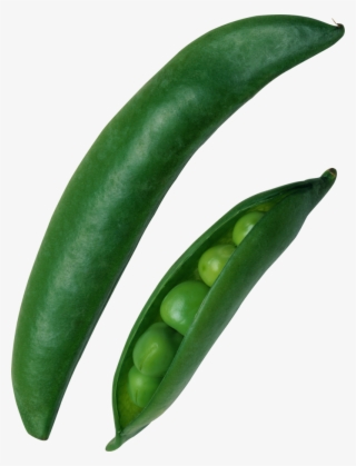 Pea Png, Download Png Image With Transparent Background, - Горох ...
