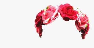 33 Images About 🌺 F L O W E R C R O W N 🌺 On We Heart - Hybrid Tea Rose