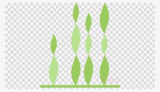 Download Transparent Background Seaweed Icon Clipart - Png Cartoon Fairies