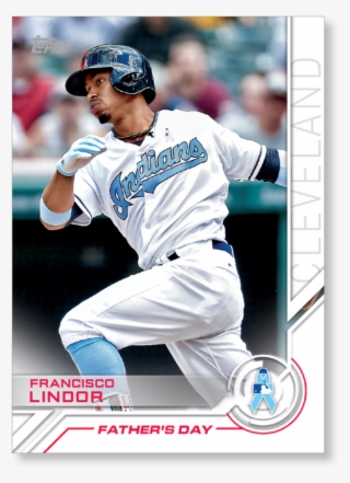 Close Zoom - Baseball