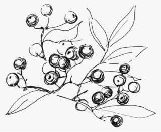 Svg Freeuse Library Temporary Tattoo Black Twig With - Sketch