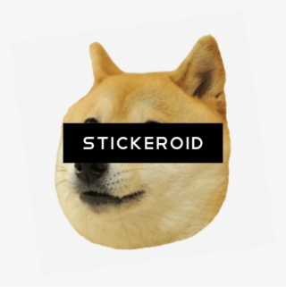 Doge Head Big - Meme Stickers For Whatsapp