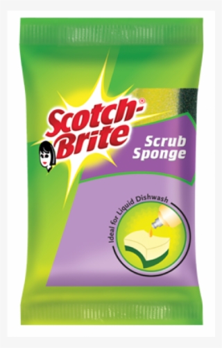 Scotch Brite Auto Pet Hair Remover