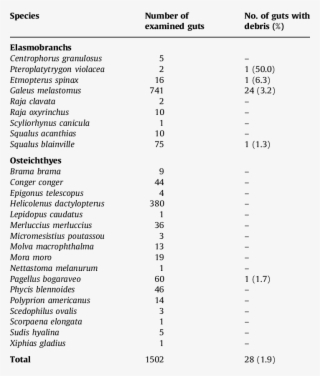 Occurrence Of Ingested Debris In The Guts Of The Deep-water - Pennsylvania