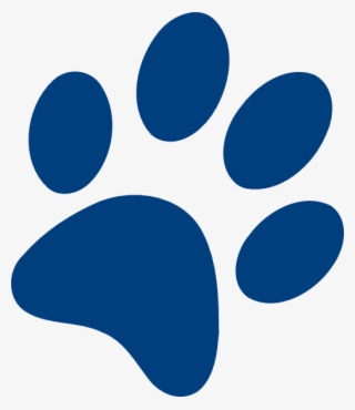 Dog Paw Prints Transparent