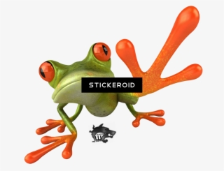 Frog - Transparent Frog Photo Png