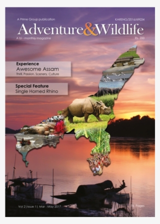Magazine Cover Pictures - Poster