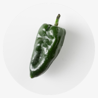 Pasilla